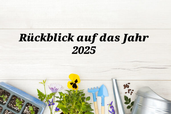 Jahresrueckblick