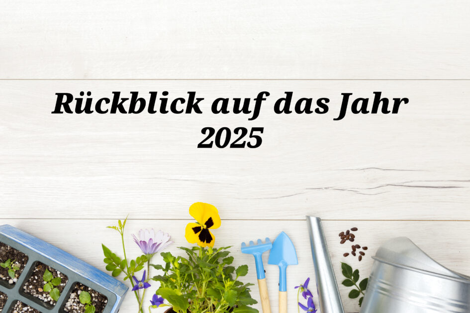 Jahresrueckblick